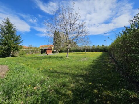 Großzügiges Baugrundstück in Breitenau !, 2624 Breitenau, Grundstück