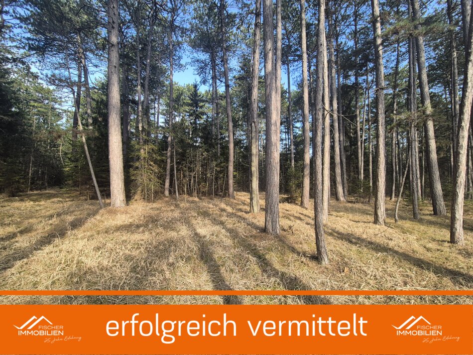 Titelbild