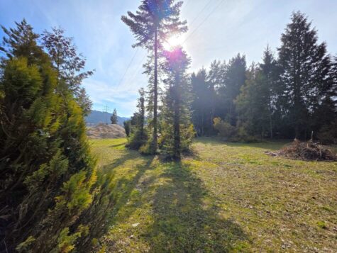 Baugrundstück mit über 2.200m² – Pitten, 2823 Pitten, Baugrund Eigenheim