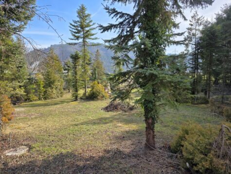 Baugrundstück mit über 2.200m² – vielseitig Nutzbar, 2823 Pitten, Baugrund Eigenheim