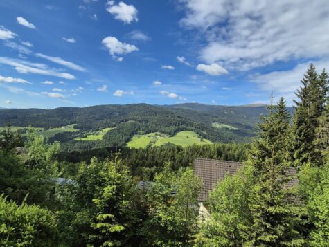 Ländliches Wohnhaus in Streusiedlung mit tollem Ausblick, 8530 Deutschlandsberg, Haus