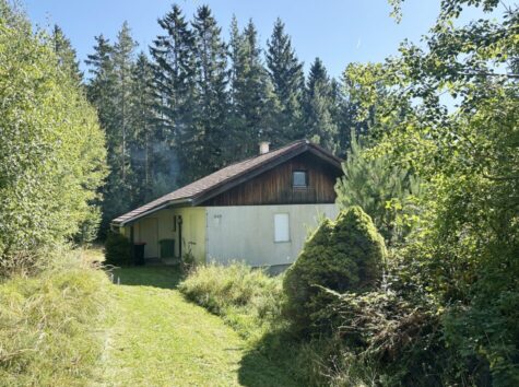 Ruhig gelegenes Einfamilienhaus in Mönichkirchen mit großem Grundstück, 7421 Mönichkirchen, Einfamilienhaus