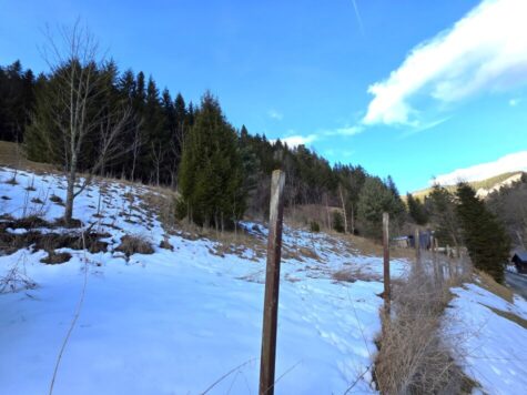 Natur, Ruhe und Aussicht – 2400 m² Baugrund am Semmering, 2680 Semmering-Kurort, Grundstück