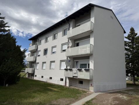 Großzügige 4-Zimmer-Eigentumswohnung in Peisching bei Neunkirchen mit viel Potenzial, 2620 Neunkirchen, Wohnung