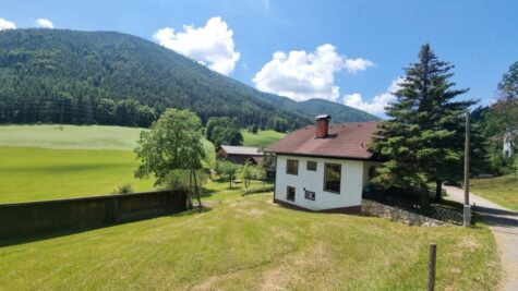 Arrondiertes landwirtschaftliches Anwesen in ruhiger Lage, 2640 Raach am Hochgebirge, Bauernhof