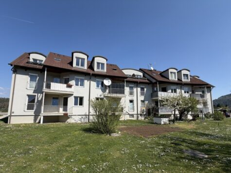 Helle und freundliche 3-Zimmer-Wohnung mit Terrasse im Grünen, 2824 Seebenstein, Wohnung