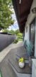 Bild - Wunderschöner Bungalow in absoluter Ruhelage