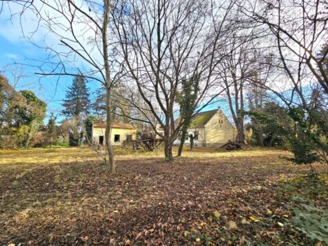 Großzügiges Baugrundstück mit Altbestand, 2823 Pitten, Grundstück