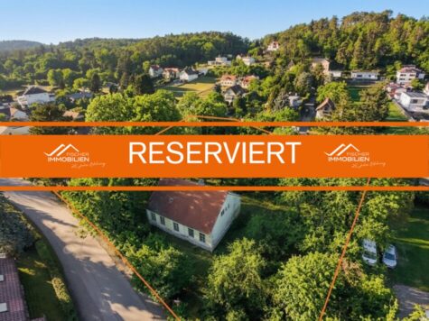 Großzügiges Baugrundstück – alles hat Platz, Traumhaus, Garage und Pool !, 2823 Pitten, Grundstück