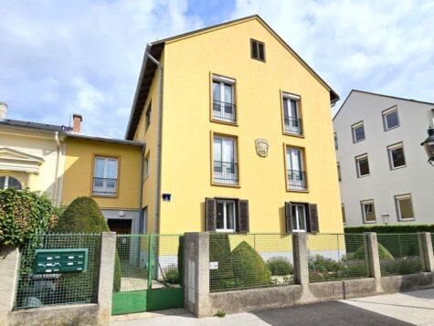 Charmante Altbauwohnung in bester Lage von Baden, 2500 Baden, Wohnung