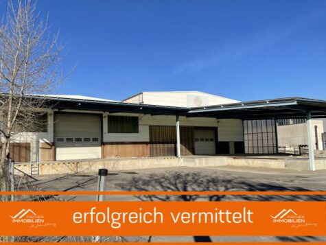 Büro & Halle in Wiener Neustadt zu vermieten, 2700 Wiener Neustadt, Halle