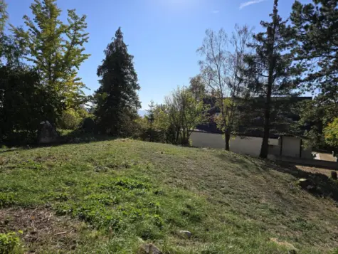 Exklusive Liegenschaft in begehrter Villenlage von Bad Fischau mit 1601m² Grundstück, 2721 Bad Fischau, Mehrfamilienhaus