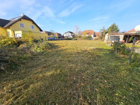 Großzügiges Baugrundstück in ruhiger Siedlungslage – Wohnen mit Lebensqualität !, 2514 Traiskirchen, Grundstück