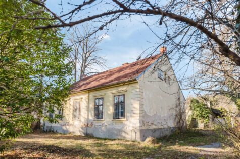 Traumhafte Liegenschaft in Pitten – Großzügiges Bauland mit charmantem Altbestand, 2823 Pitten, Haus