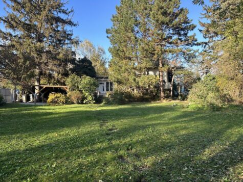 Zukunftsprojekt im Zehnerviertel – Bungalow mit Potenzial auf 1.032 m² Grund, 2700 Wiener Neustadt, Bungalow