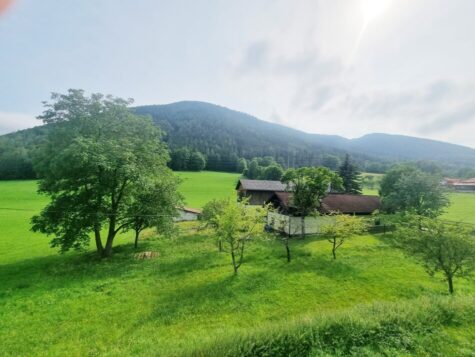 arrondiertes landwirtschaftliches Anwesen in ruhiger Lage, 2640 Raach am Hochgebirge, Bauernhof