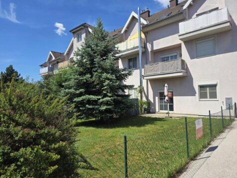 Barrierearmes Wohnen im Alter mit eigenem Garten in Theresienfeld, 2604 Theresienfeld, Gartenwohnung